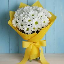 Букет цветов из:  Хризантемы в Грозном