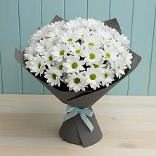 Букет цветов из:  Хризантемы в Грозном