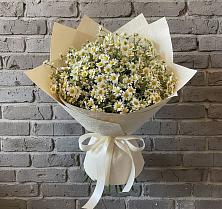 Букет цветов из:  Ромашки в Грозном