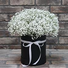 Цветочная композиция из Гипсофила в шляпной коробке в Грозном