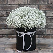 Цветочная композиция из Гипсофила в шляпной коробке в Грозном