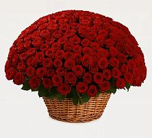 Премиум букет из: Розы в Грозном