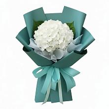 Букет цветов из:  Гортензия в Грозном